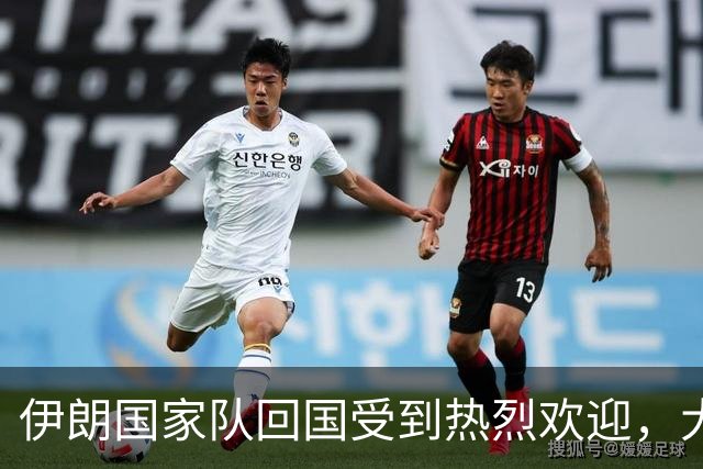 伊朗国家队回国受到热烈欢迎，大批球迷接机